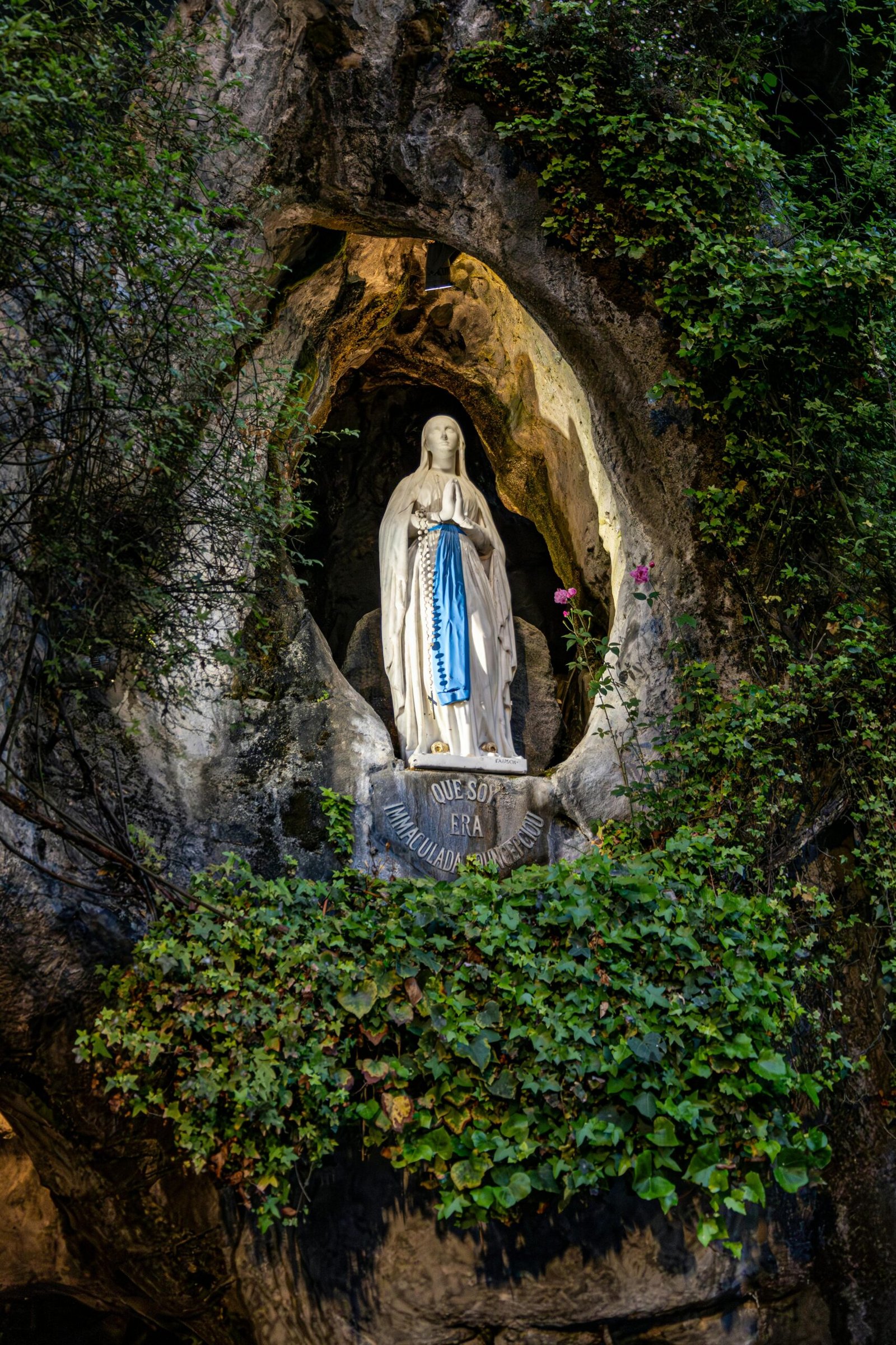 Illuminated Virgin Mary statue in a rocky grotto, surrounded by greenery.